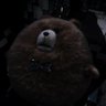 Ted Faz Urro's profile picture