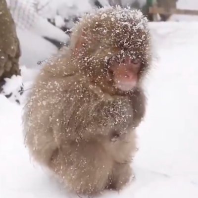 TimarahJ5243's profile picture