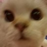 jaewooo's profile picture