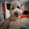 SGT DAVE's profile picture