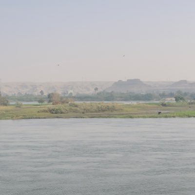 Anas_Elbank's profile picture