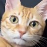 スーミン's profile picture