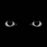 TheVoidXoX profil fotoğrafı