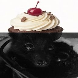 بچه خفاش 🦇🍷's profile picture
