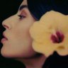 morena tropicana 的头像