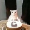 H0nni3 _(COMMS OPEN)'s profile picture