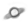 Phantiverse profil fotoğrafı