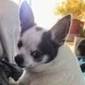 dumpster fireman's profile picture