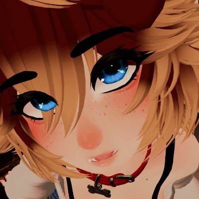 NetPet's profile picture