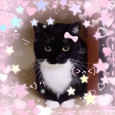 Slut Daughter💗's profile picture