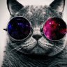 😻Crazy Cat Lady 😻 profil fotoğrafı