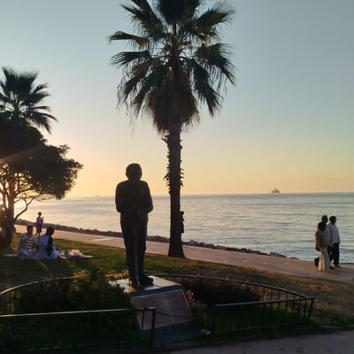 Halil51511's profile picture