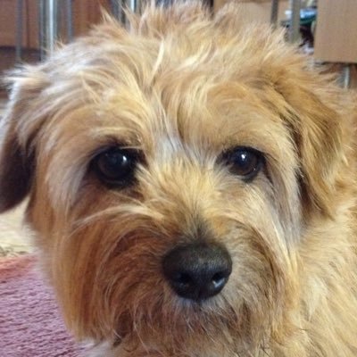 m_fesy's profile picture