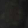 Tim Sarrazin's profile picture