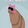 SailorLux's profile picture