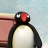 pinguthenootnoot profil fotoğrafı