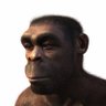 caveman's profile picture