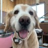 マーブ's profile picture