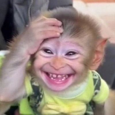 ukacjohn3's profile picture