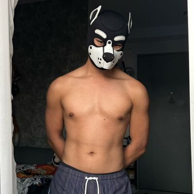 MeowSomm54's profile picture