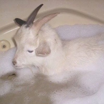 Smumji1's profile picture