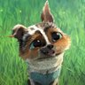 Profilbild von Rip Van Twinkle