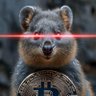 Bitcoin Quokka's profile picture