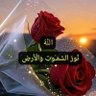 Wafaa Abd Elhamid خريجه علوم سياسيه جامعه القاهره profil fotoğrafı