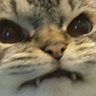 sally's profile picture
