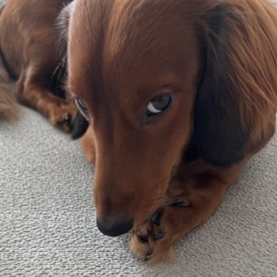 YOUFlRST's profile picture