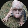 Robert Twinkle profil fotoğrafı