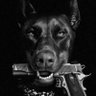 Kαλoum profil fotoğrafı