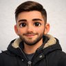 Sina Soroosh's profile picture