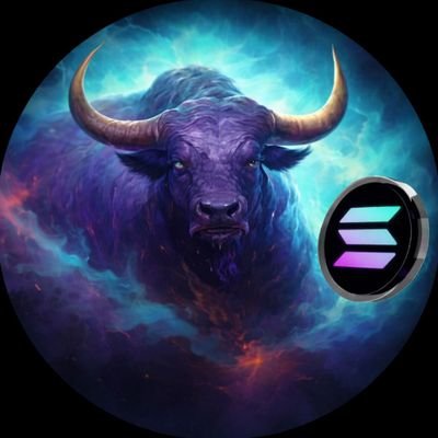Solana Bulls Whale 🐋's profile picture