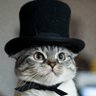 Pussball Meowmix's profile picture