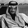 Profilbild von Sultan511