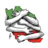 Azadeh Vaziri's profile picture