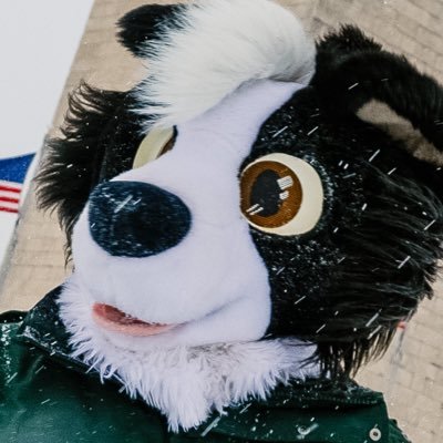 Flint's profile picture