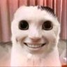 quHuyyy profil fotoğrafı