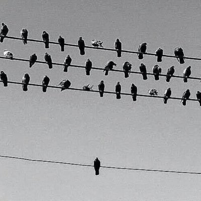 خارج السرب 🌫️'s profile picture