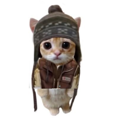 Yonyo_t_t's profile picture