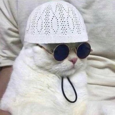 talibecheikh221's profile picture