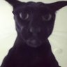 Nathan's profile picture