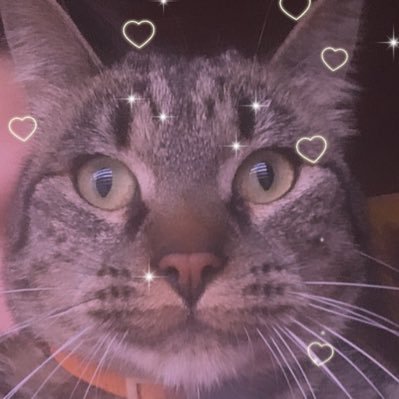 βάrbara's profile picture