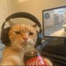 Eck's profile picture