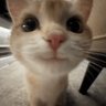 freakofanature profil fotoğrafı
