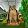 Фото профиля #####