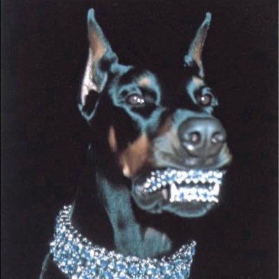 bigsteppadude's profile picture