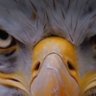 Mehmet Murad Kadıoğlu profil fotoğrafı