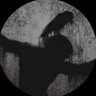 🐦⬛'s profile picture